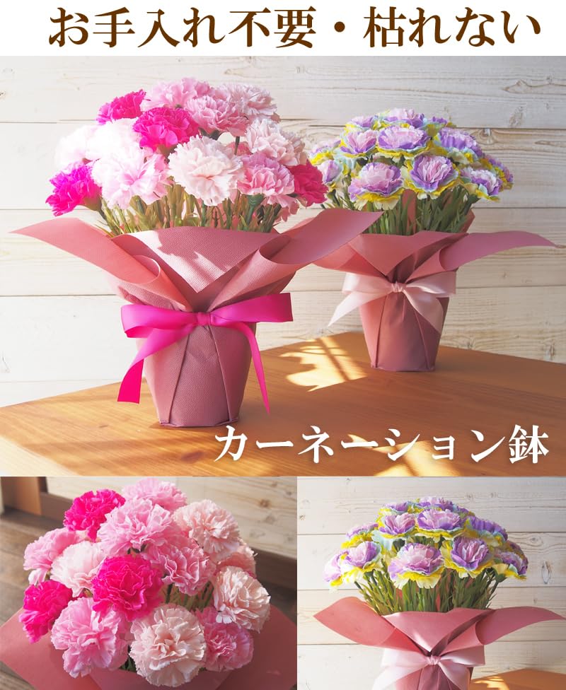 Amazon｜彩香 ソープフラワー カーネーション花鉢 造花 母の日 花